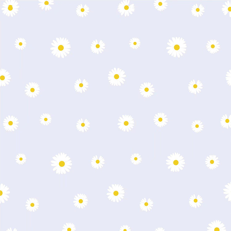 MYHC-18 Fresh Little Daisy Pearl Film Flower Wrapping Paper
