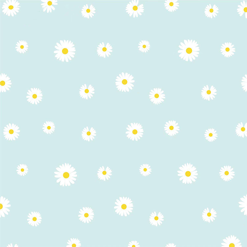 MYHC-18 Fresh Little Daisy Pearl Film Flower Wrapping Paper