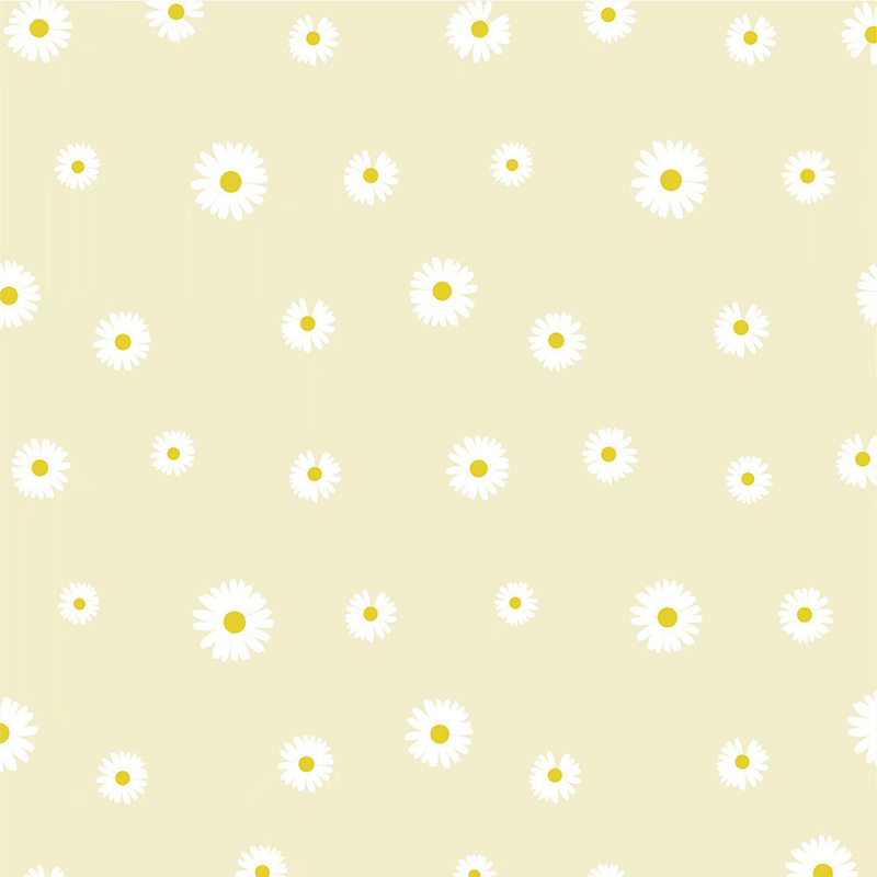 MYHC-18 Fresh Little Daisy Pearl Film Flower Wrapping Paper